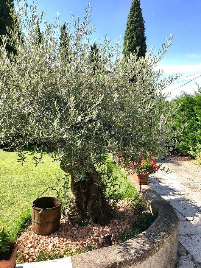 B&B Castel Montorio Verona Exterior foto